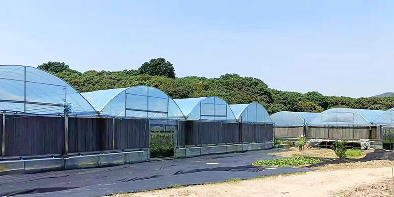 長(zhǎng)壽菜種植基地-erp軟件開(kāi)發(fā)