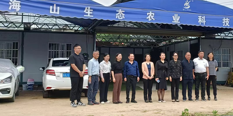 參觀考察