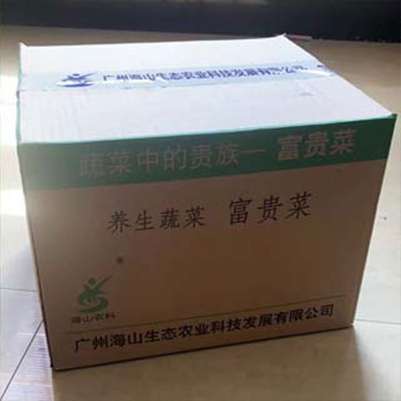 長(zhǎng)壽菜種植